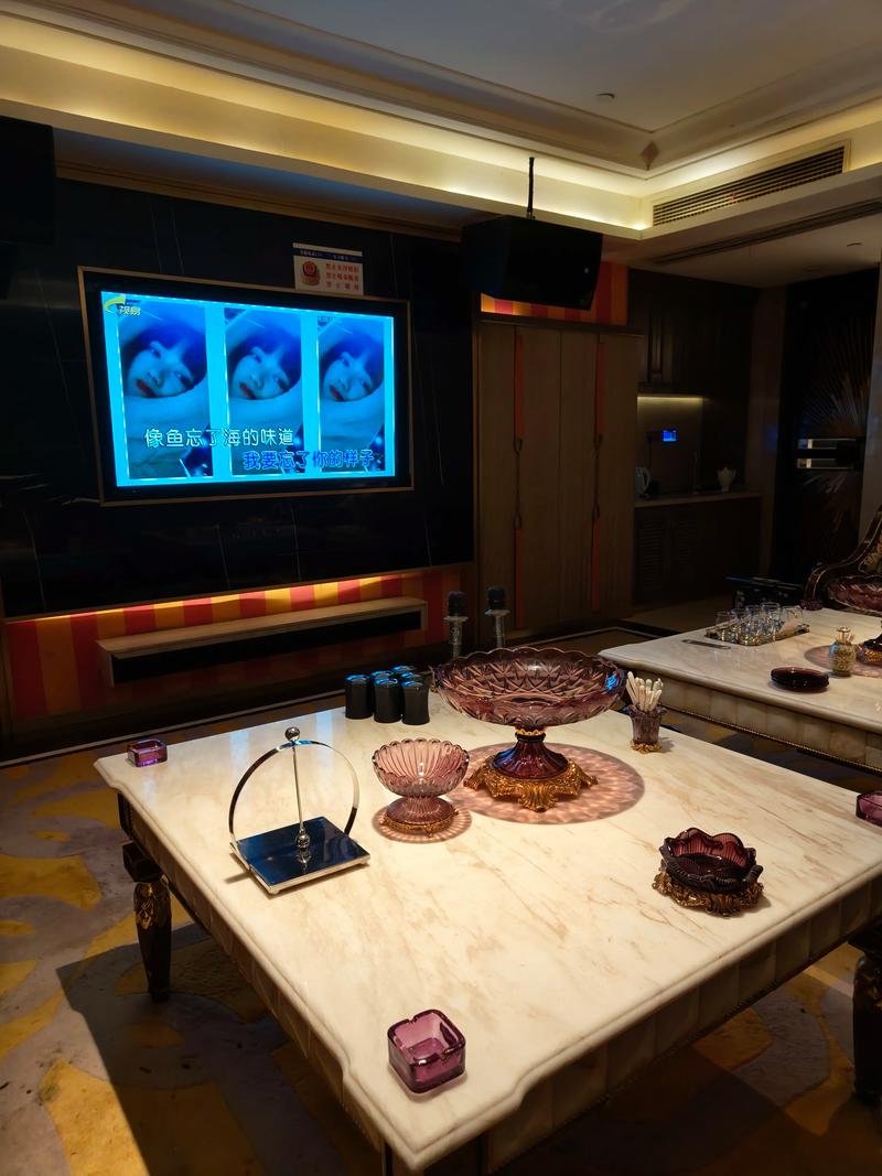 东营商务ktv低端场欢迎您的光临-东营区ktv预定